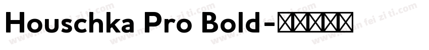 Houschka Pro Bold字体转换